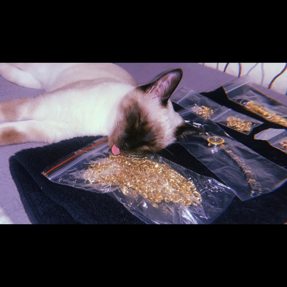 Meet your Posher, Stasiya - Picture 2 of 3